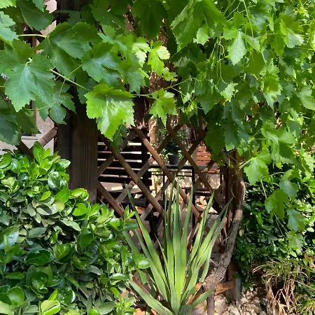 Sa Canova Farm stay