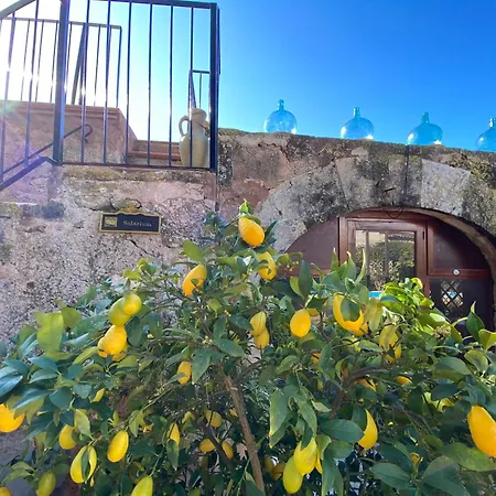 Sa Canova Farm stay Campos (Mallorca)