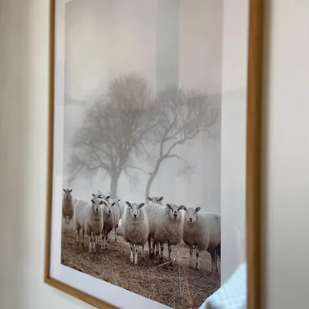 Vakantieboerderij Sa Canova